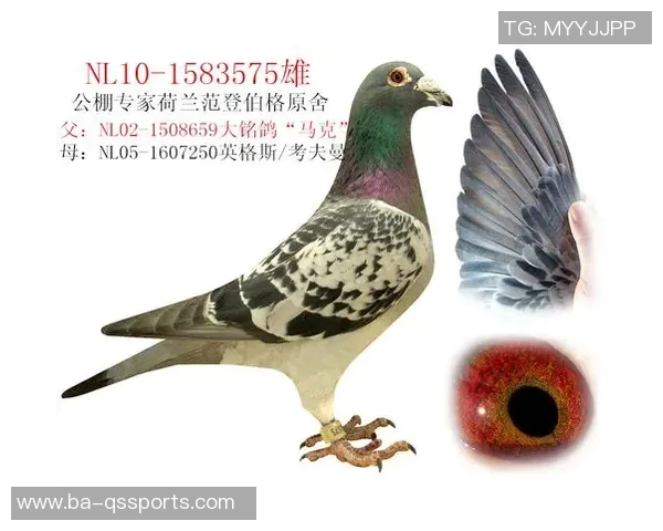 日职乙战报：范登伯格读秒绝平，磐田喜悦2-2山形山神——激情四溢的精彩对决